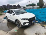 19年奔騰T77