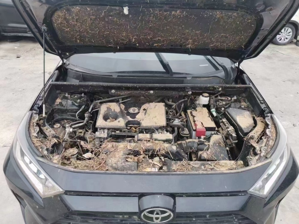 20年豐田RAV4
