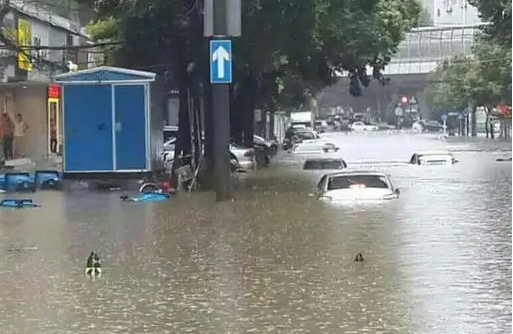 購(gòu)買(mǎi)泡水車(chē)