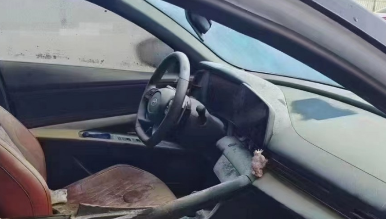 泡水車(chē)生銹怎么處理
