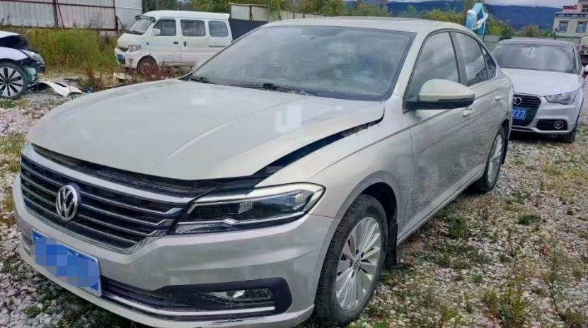 泡水車線束