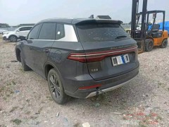 燃油車持續(xù)發(fā)力，市場(chǎng)格局持續(xù)演變