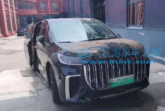 24年嵐圖夢想家泡水車