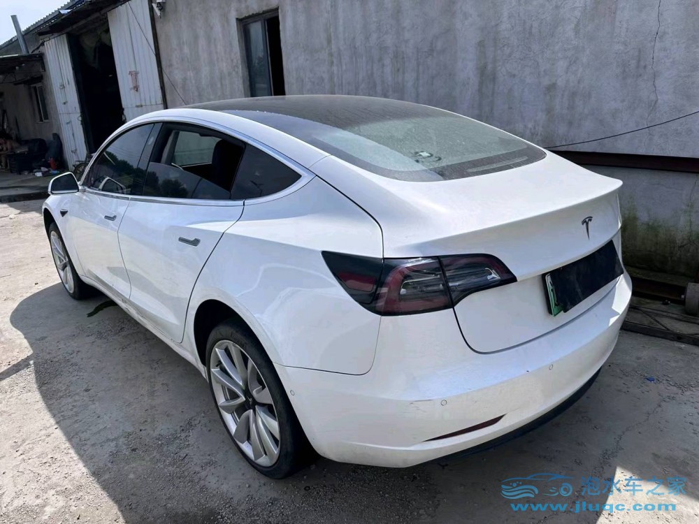 19年特斯拉MODEL 3