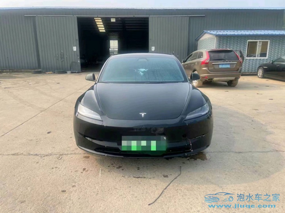 24年特斯拉MODEL 3泡水車