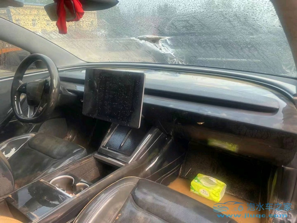 24年特斯拉MODEL 3