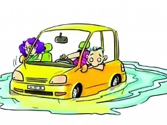 泡水車是要買舊車還是近期車？給出一個建議