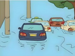 水淹車出售網(wǎng)，水淹車的分類，如何購買水淹車？