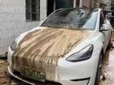 21年特斯拉Model Y