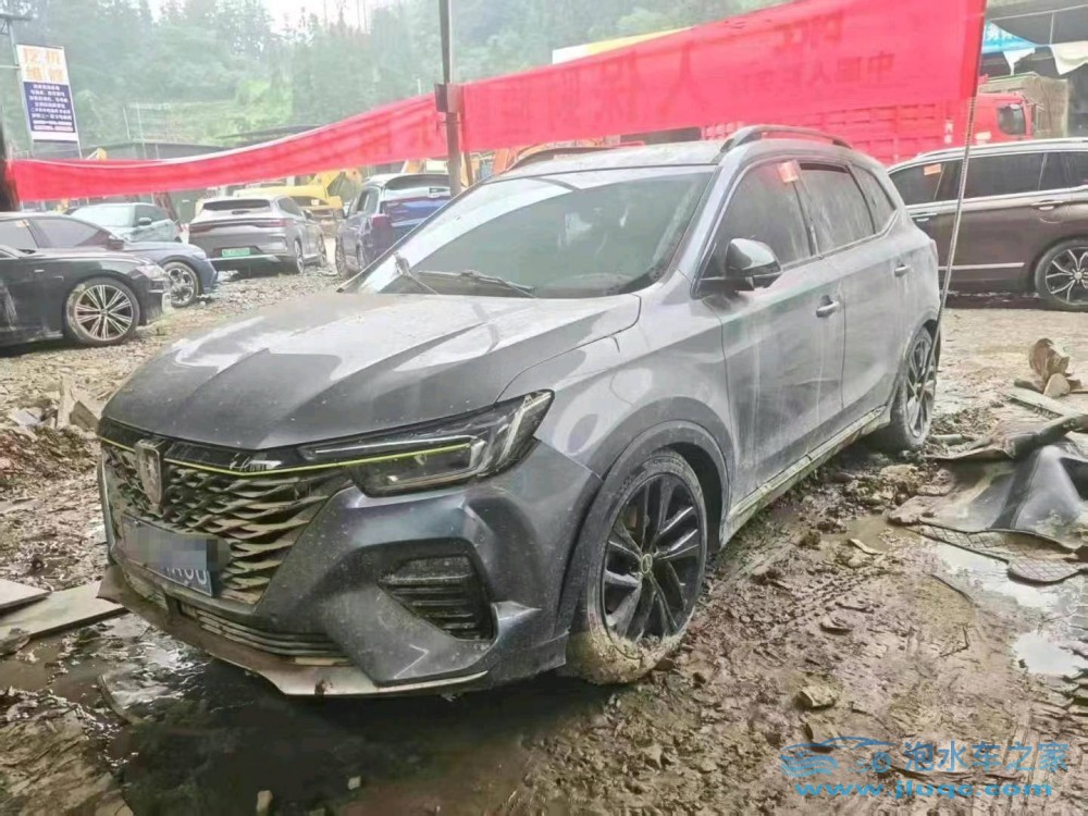 21年榮威RX5泡水車