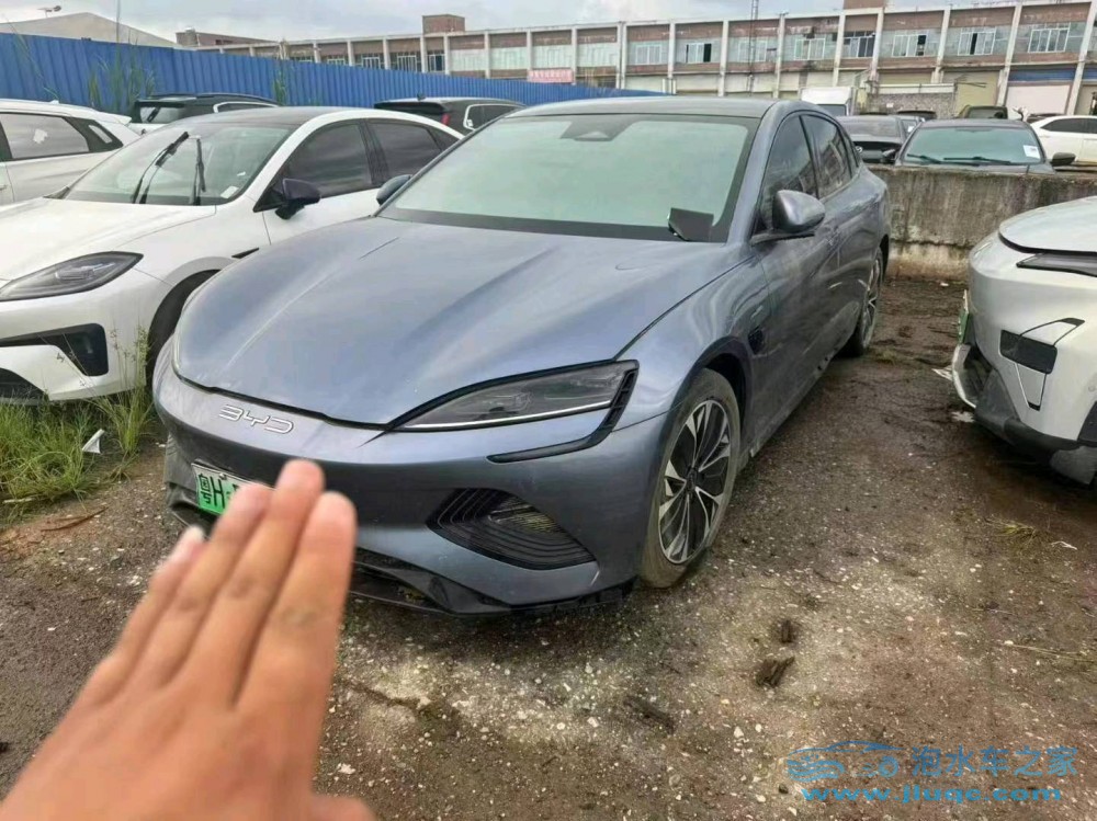 23年比亞迪海豹泡水車