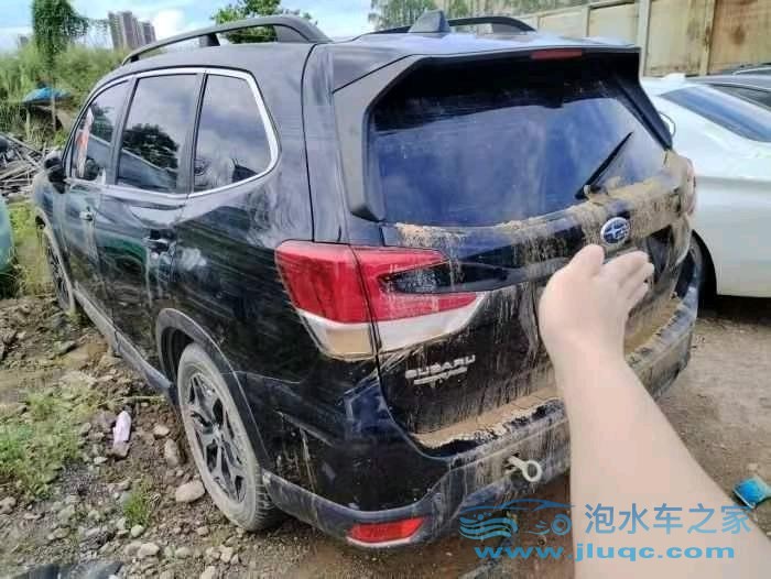 19年斯巴魯森林人