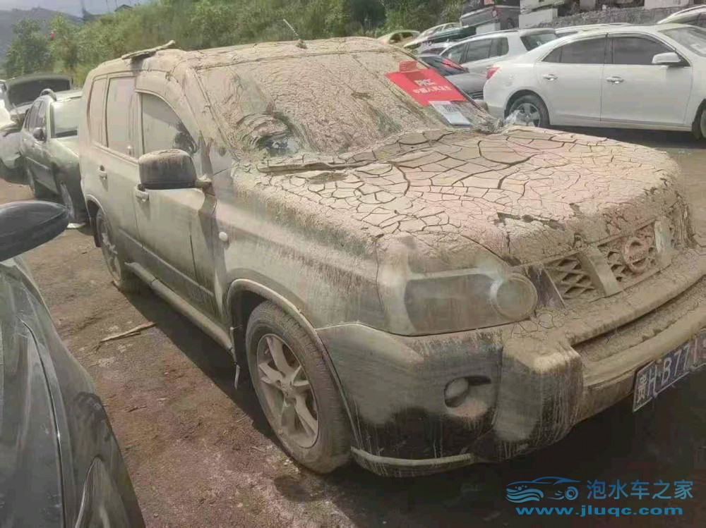 10年日產(chǎn)奇駿泡水車