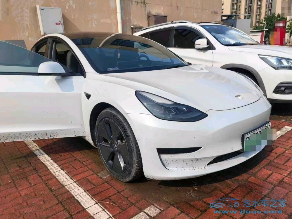 21年特斯拉MODEL 3泡水車
