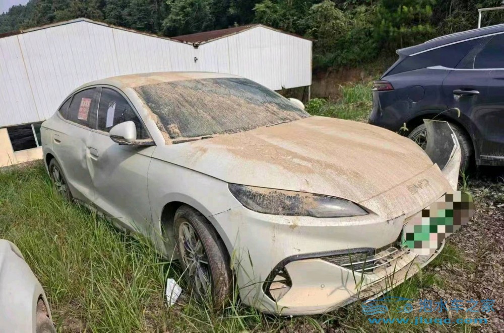24年比亞迪海豹泡水車