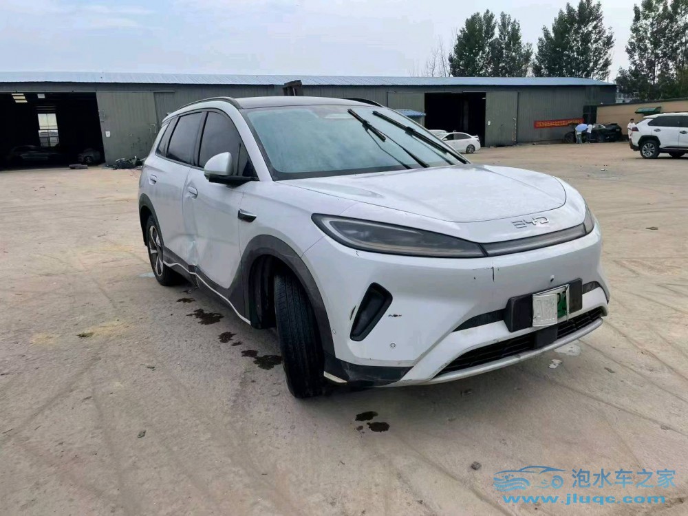 25年比亞迪海獅