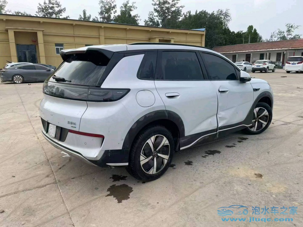 25年比亞迪海獅