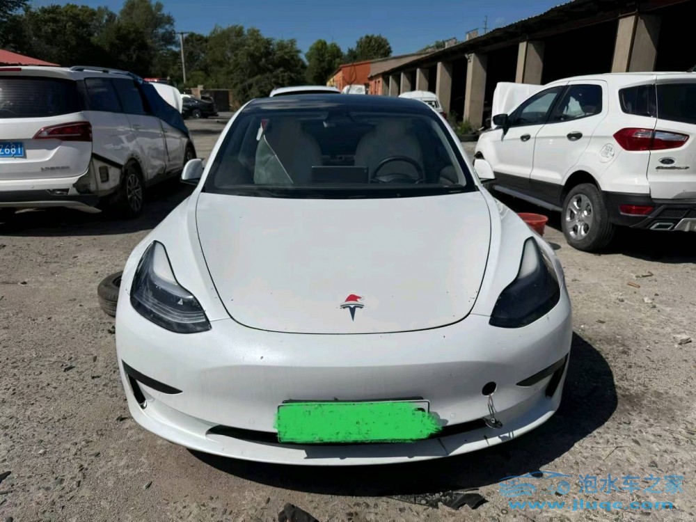 23年特斯拉MODEL 3泡水車
