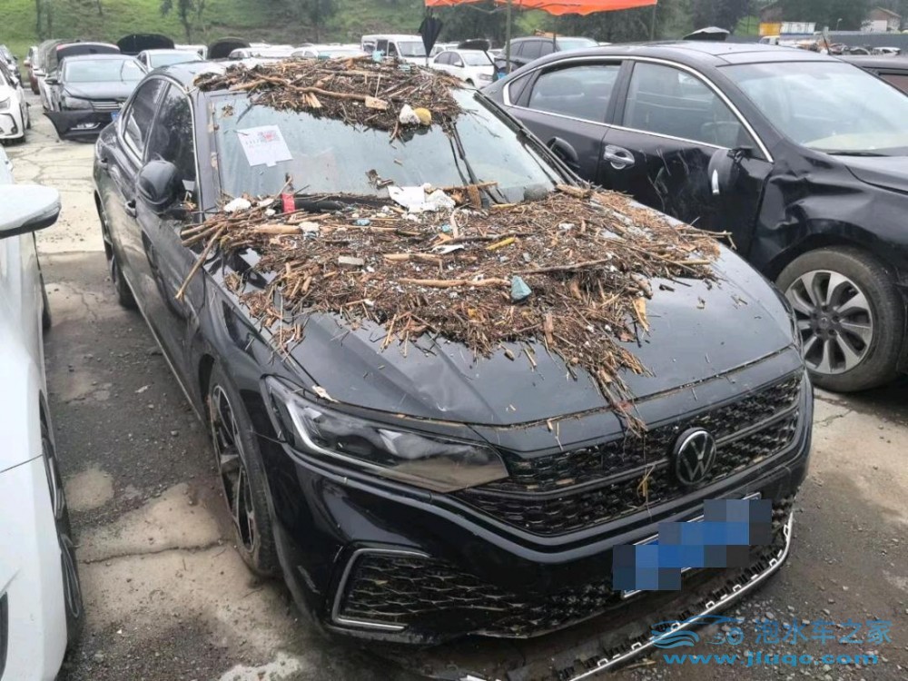 24年大眾帕薩特泡水車