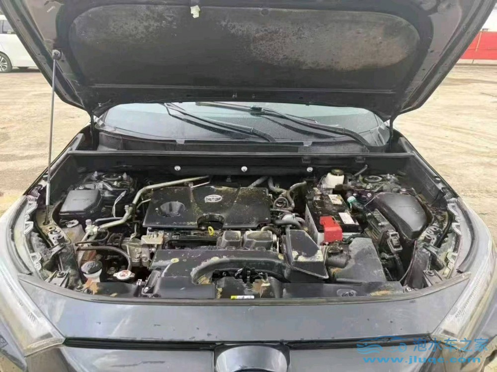 24年豐田RAV4榮放