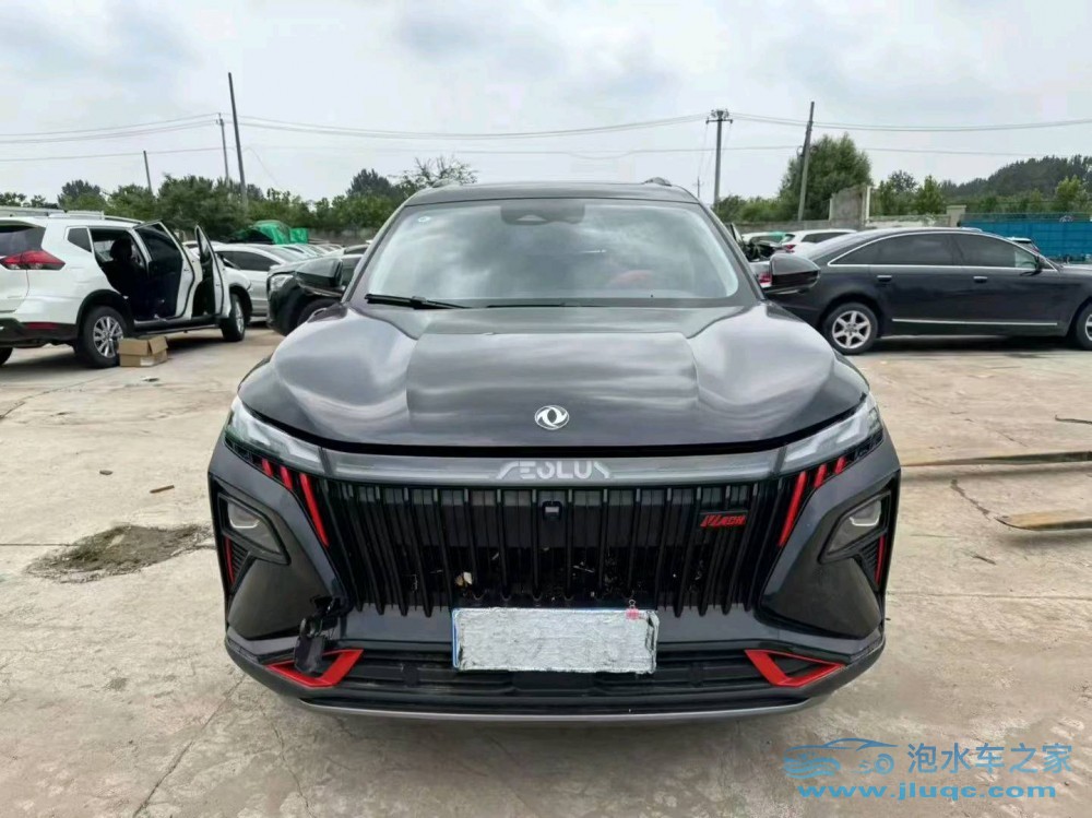 24年東風(fēng)風(fēng)神泡水車