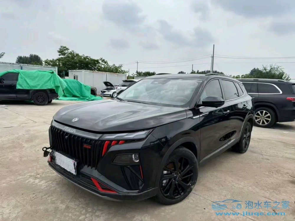 24年東風(fēng)風(fēng)神