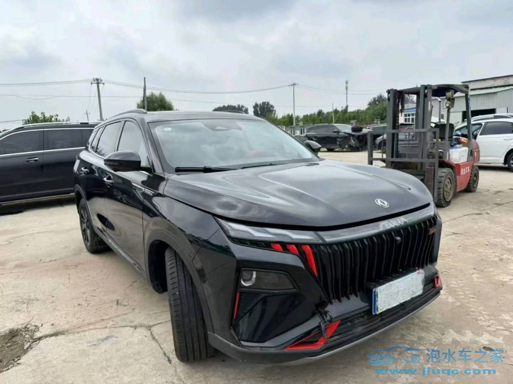 24年東風(fēng)風(fēng)神