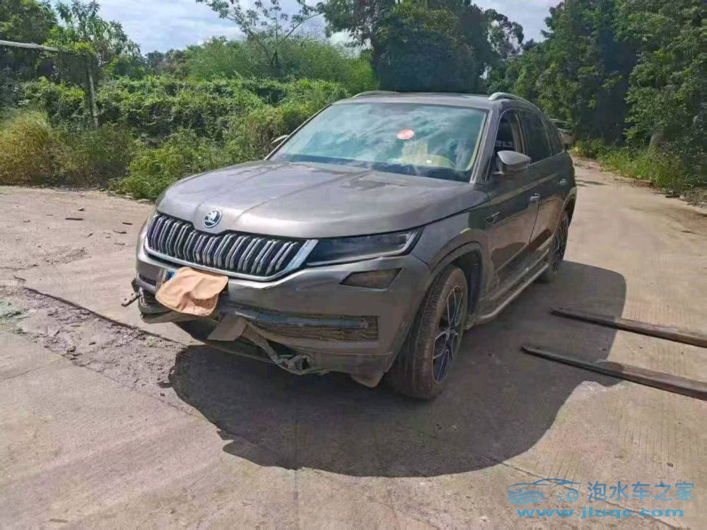 19年斯柯達(dá)柯迪亞克