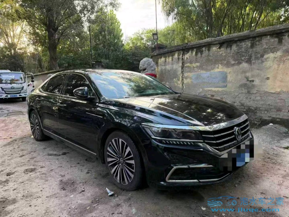 21年大眾帕薩特泡水車