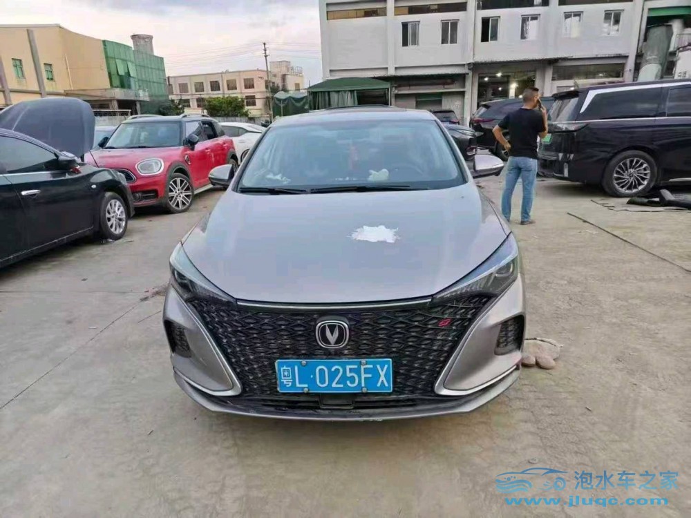 20年長(zhǎng)安逸動(dòng)泡水車