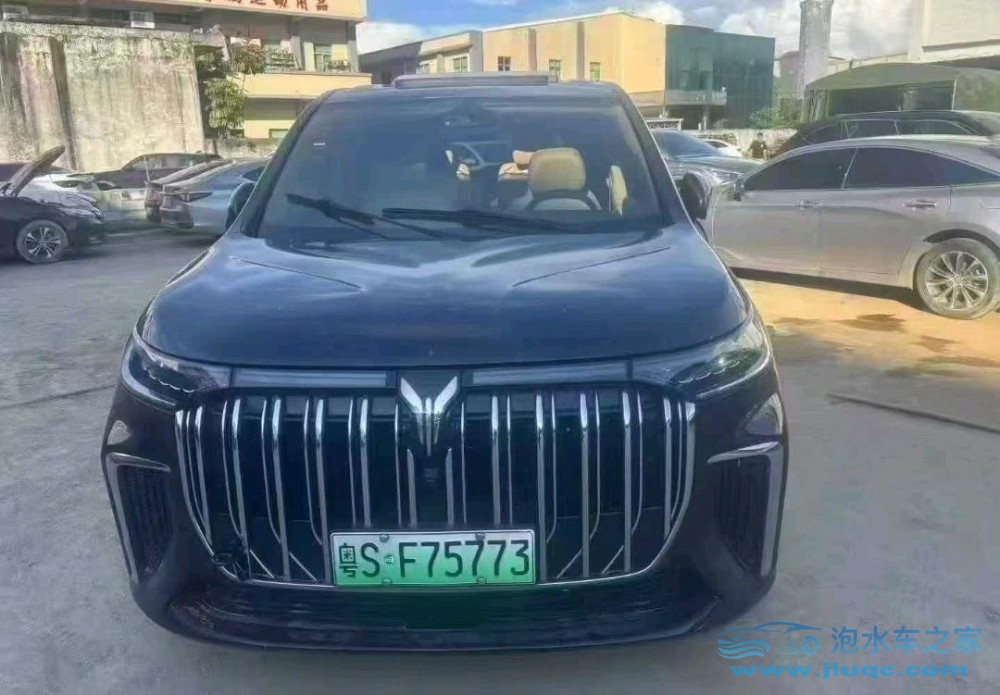 22年嵐圖夢想家泡水車