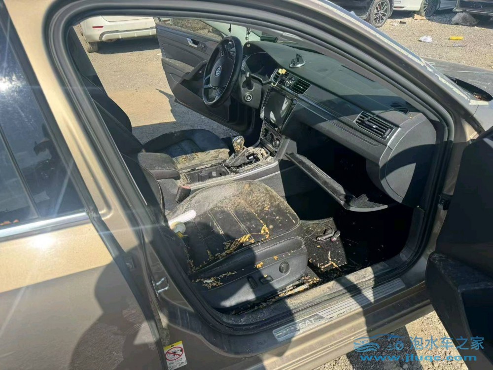 16年大眾帕薩特