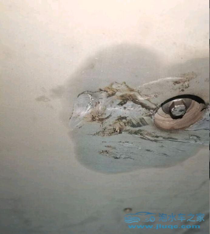 22年極氪極氪
