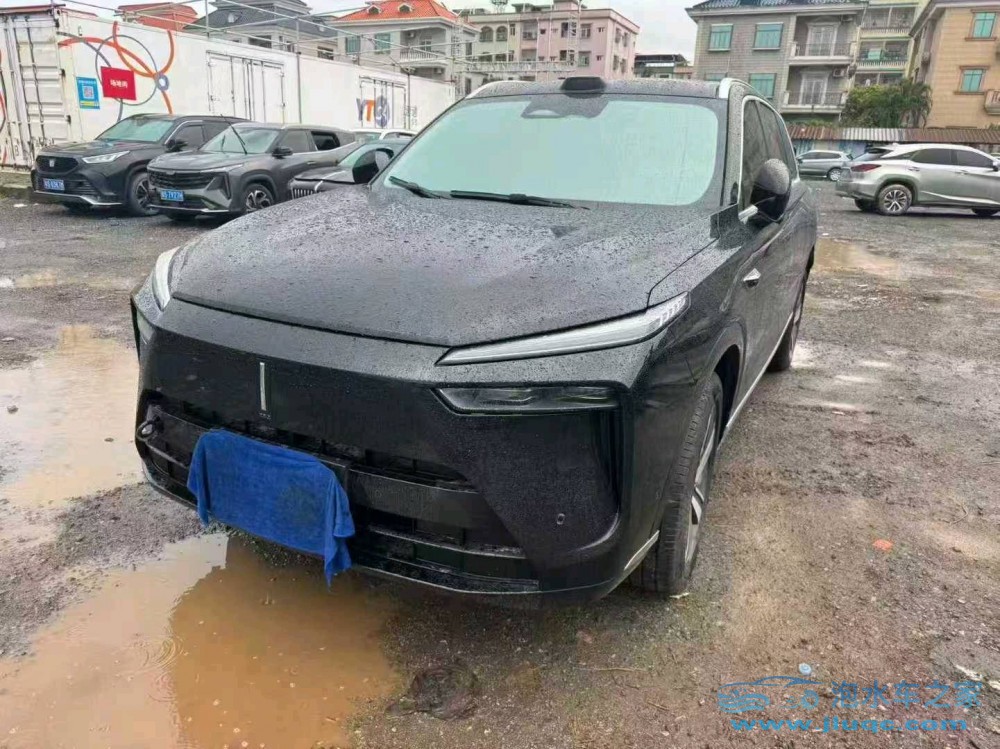 25年WEY藍(lán)山