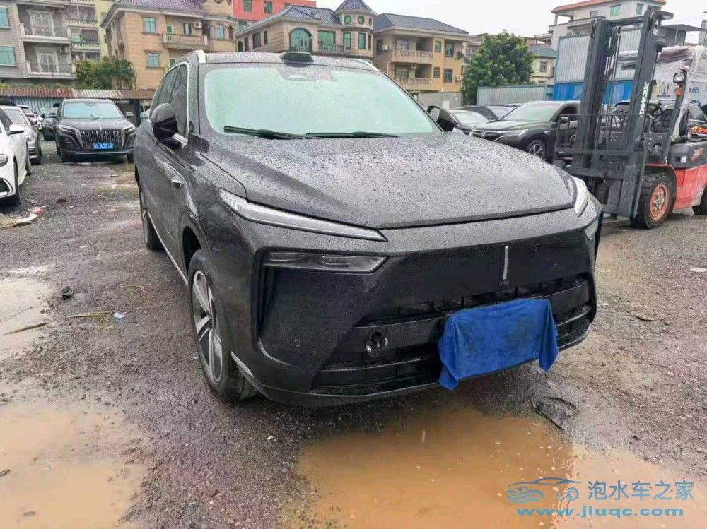 25年WEY藍(lán)山