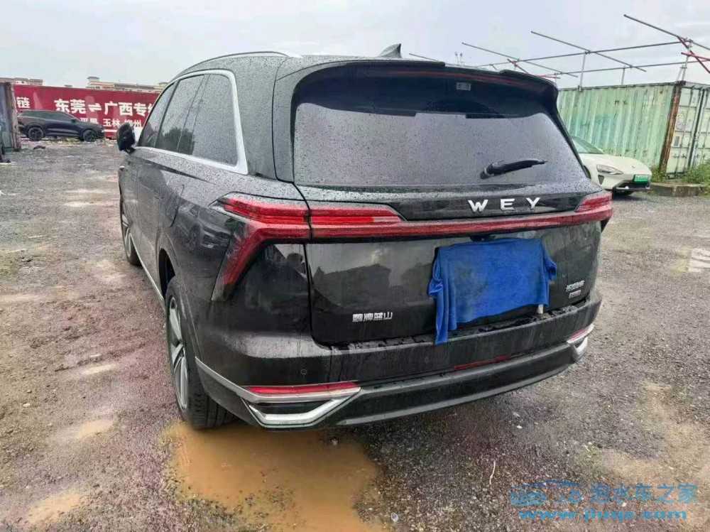 25年WEY藍(lán)山
