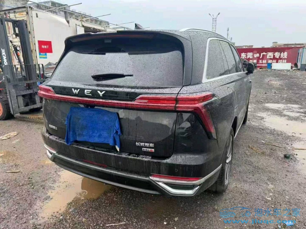 25年WEY藍(lán)山