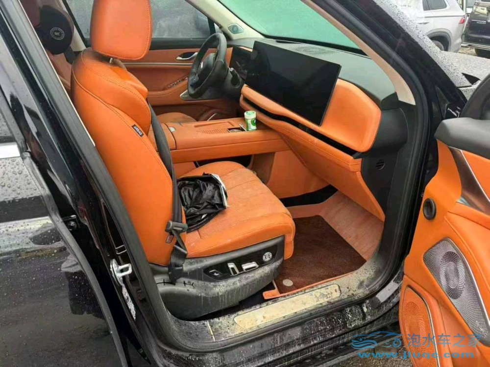 25年WEY藍(lán)山