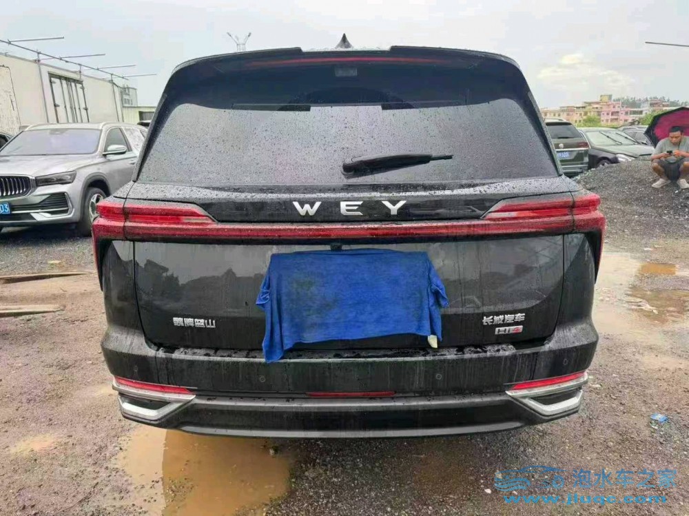 25年WEY藍(lán)山