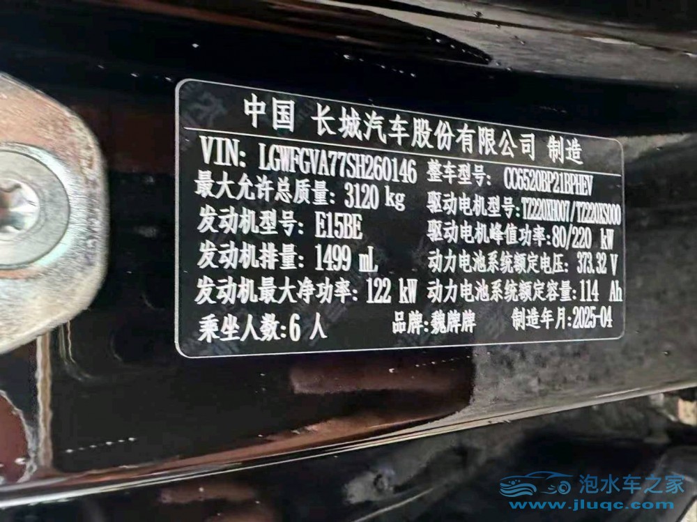 25年WEY藍(lán)山