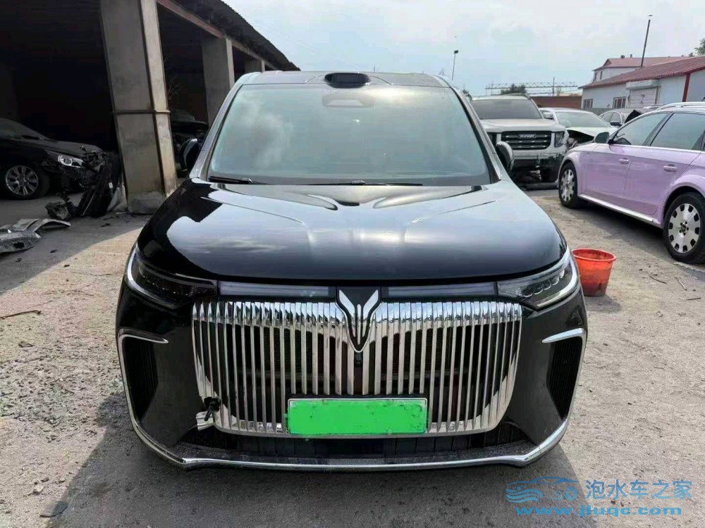 24年嵐圖夢想家泡水車