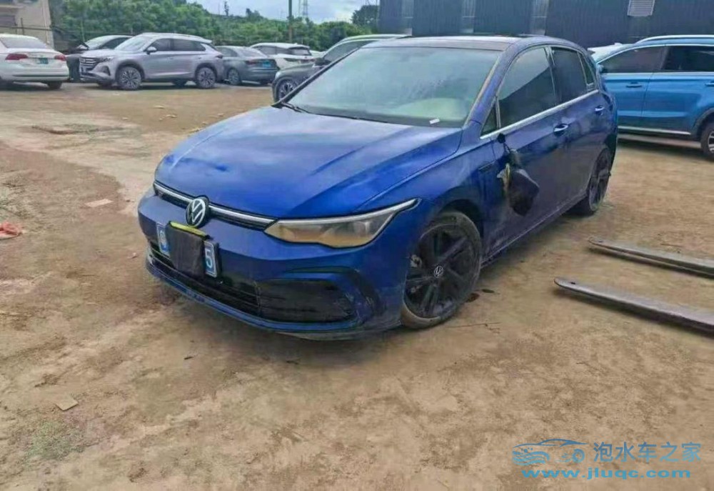 24年大眾高爾夫