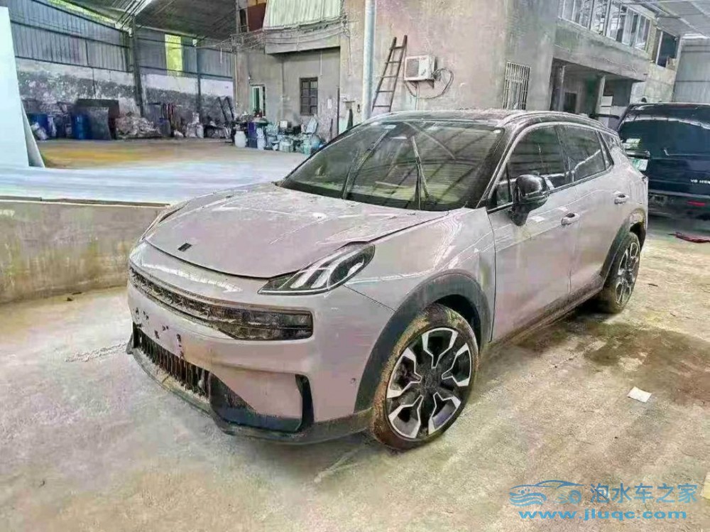 24年領(lǐng)克領(lǐng)克 06