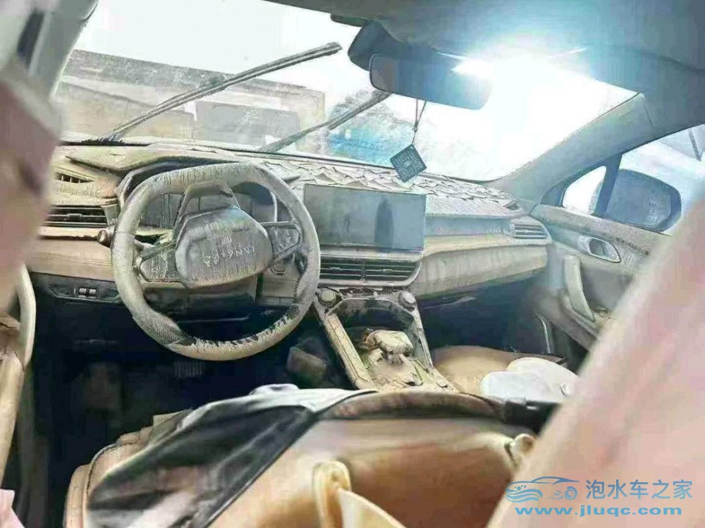 24年領(lǐng)克領(lǐng)克 06