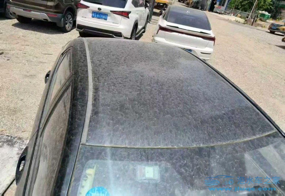 19年豐田卡羅拉