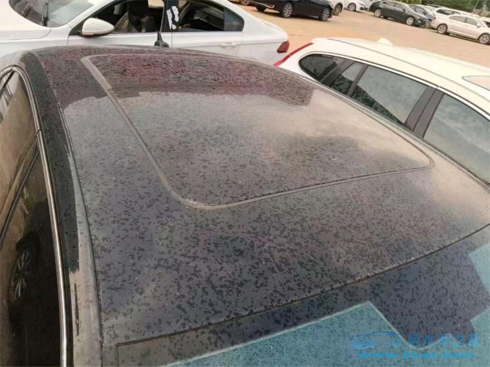 23年大眾帕薩特