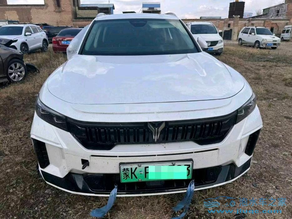 23年嵐圖FREE泡水車