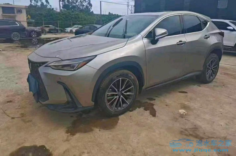 23年雷克薩斯NX