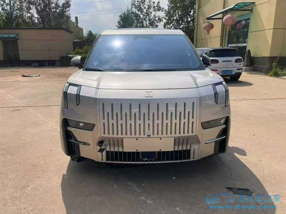 23年極氪極氪泡水車