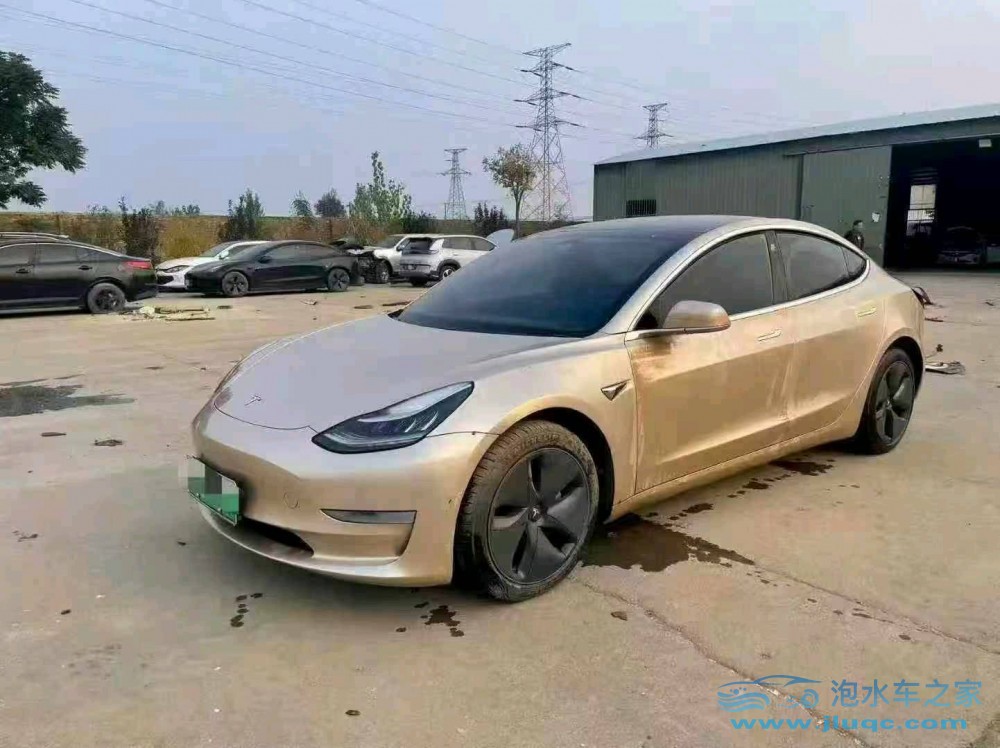 19年特斯拉MODEL 3